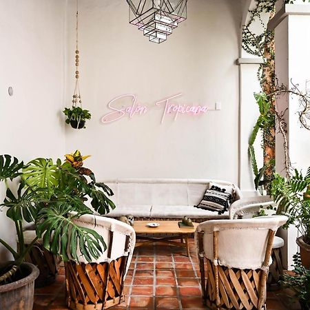 מלון גואדלחארה Casa Blanco By Barrio Mexico מראה חיצוני תמונה